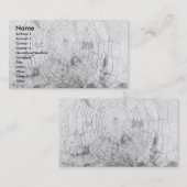 クモの巣 名刺 (正面/裏面)