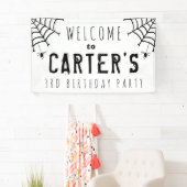 クモの巣 横断幕 (インサイチュ)