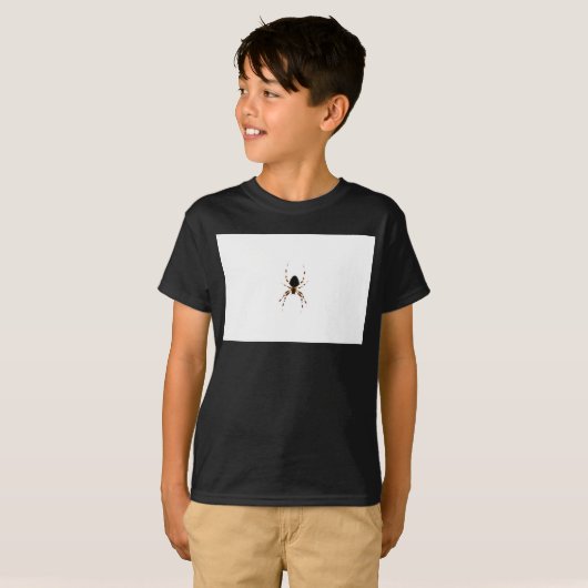 クモの巣 Tシャツ (正面フル)
