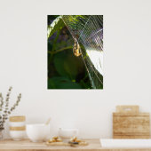 クモの糸を切る ポスター (キッチン)