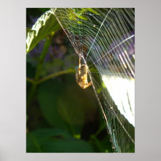 クモの糸を切る ポスター