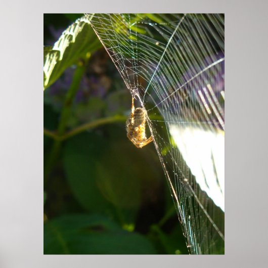 クモの糸を切る ポスター (正面)