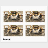 クモの自然動物野生の昆虫 長方形シール (シート)