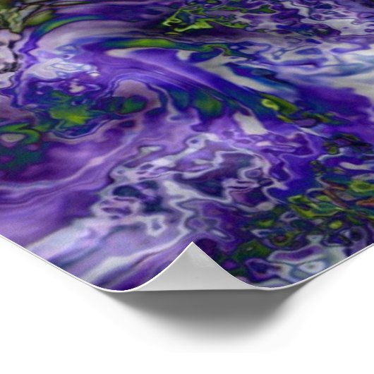 クモの花 ポスター (角)