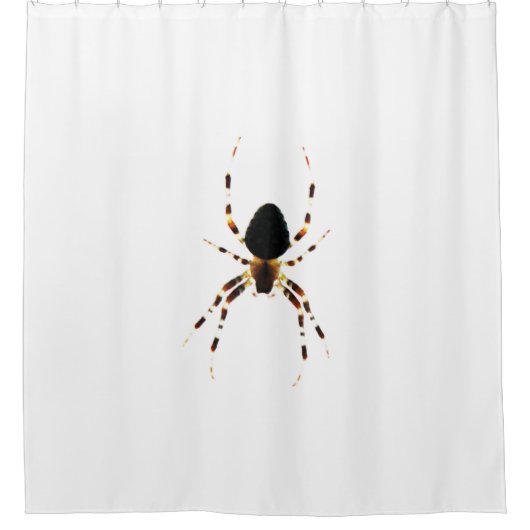 クモの骨 シャワーカーテン (正面)