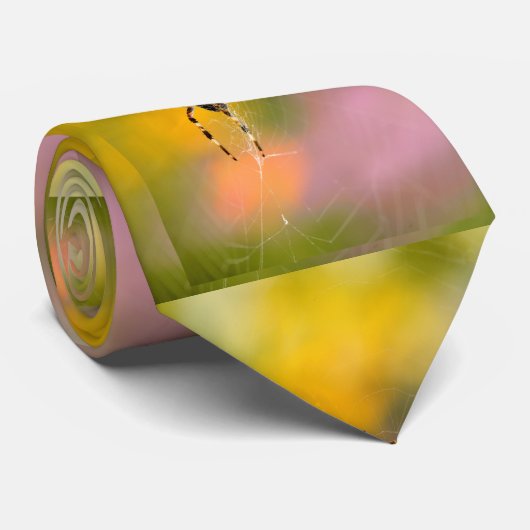 クモをクモの巣に乗せる ネクタイ (ロール)