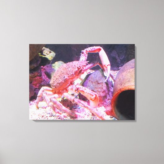 クモガニ キャンバスプリント (正面)