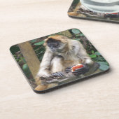 クモザルのコースター コースター (左側)