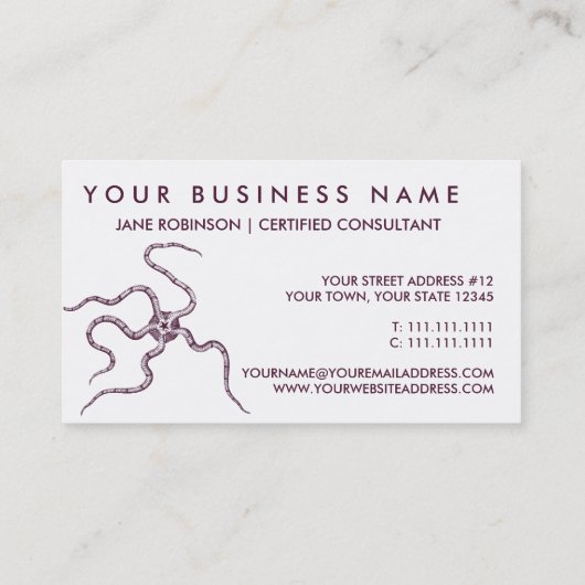 クモヒトデ-蛇星-海洋の生物学 名刺 (裏面)