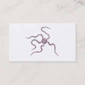 クモヒトデ-蛇星-海洋の生物学 名刺 (正面)