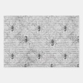 クモ不気味の巣 ラッピングペーパーシート (正面3)