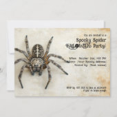 クモ不気味ハローウィンパーティ! 招待状 (正面)