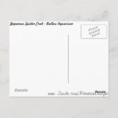 クモ日本のカニ ポストカード (裏面)