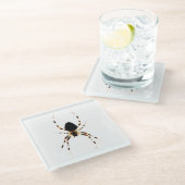 クモ星雲 ガラスコースター (アングル)