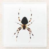 クモ星雲 ガラスコースター (正面)