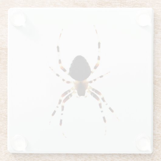 クモ星雲 ガラスコースター (裏面)
