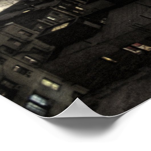 クモ猫 ポスター (角)