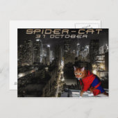 クモ猫 ポストカード (正面/裏面)
