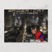 クモ猫 ポストカード (正面)