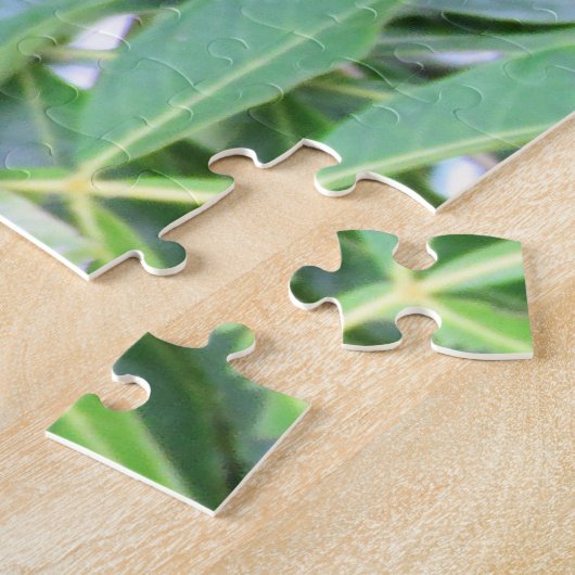 クモ類 ジグソーパズル (側面)