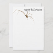 クモ カード (正面)