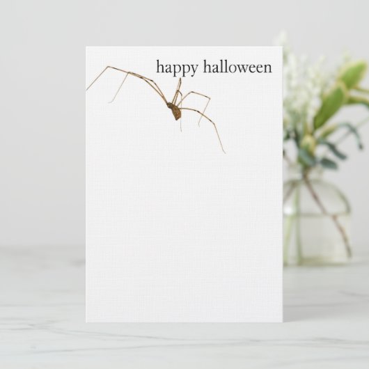 クモ カード (スタンド正面)