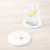 クモ コースター (側面)