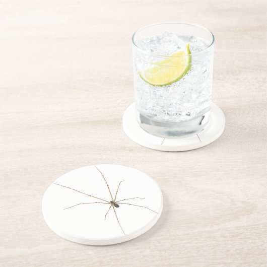 クモ コースター (側面)