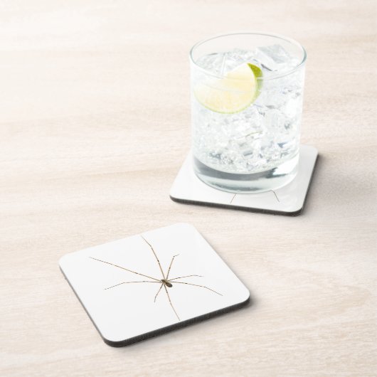 クモ コースター (右側)