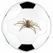 クモ サッカーボール (正面)