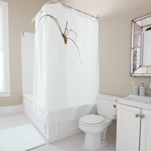 クモ シャワーカーテン (インサイチュ)