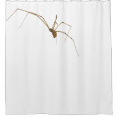 クモ シャワーカーテン (正面)