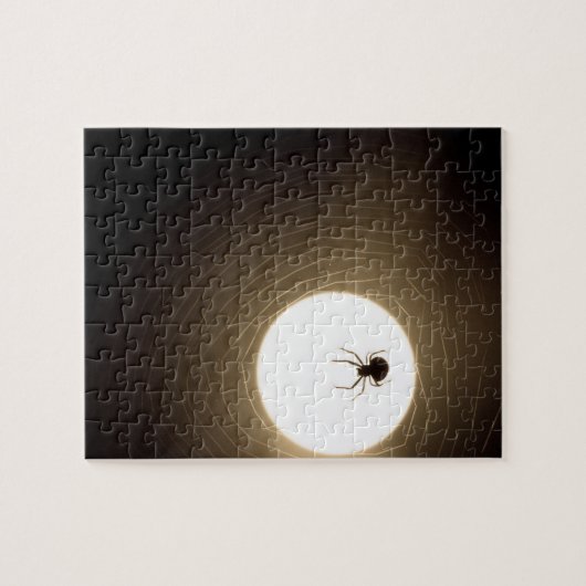 クモ ジグソーパズル (横)