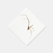 クモ スタンダードカクテルナプキン (角)