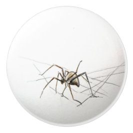 クモ セラミックノブ