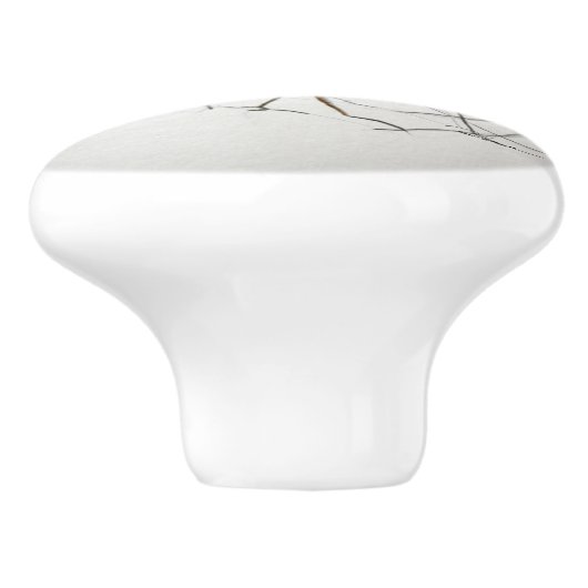 クモ セラミックノブ (側面)