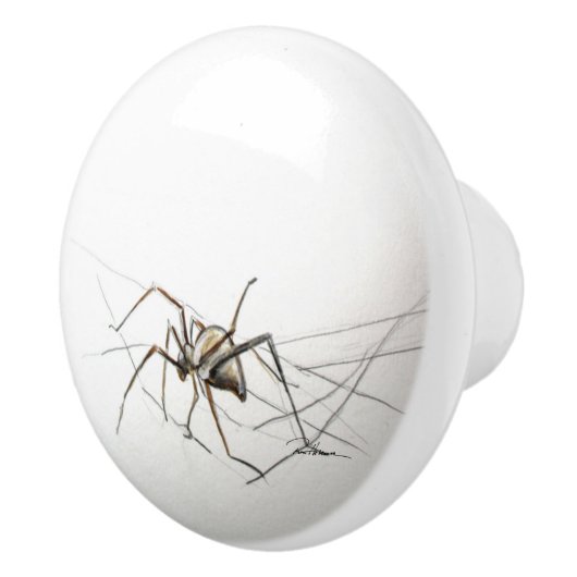 クモ セラミックノブ (右)