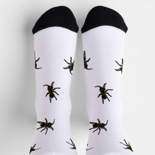 クモ ソックス (上部)