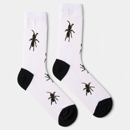 クモ ソックス (右)