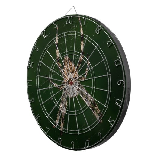 クモ ダーツボード (正面右)