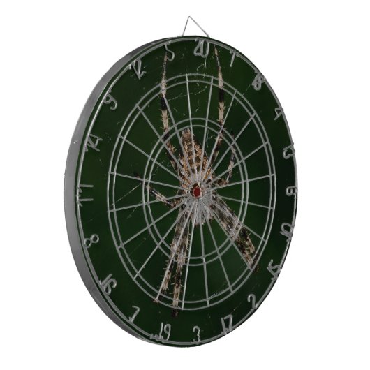 クモ ダーツボード (正面左)