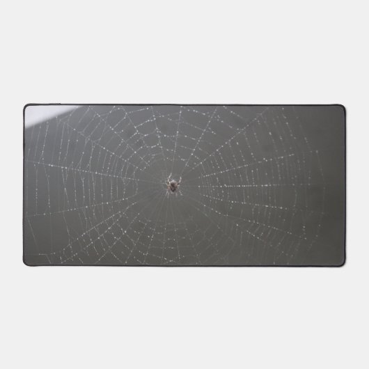 クモ デスクマット (正面)