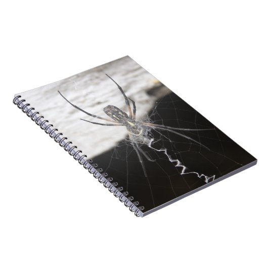 クモ ノートブック (右側)