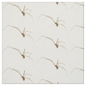 クモ ファブリック (見本)