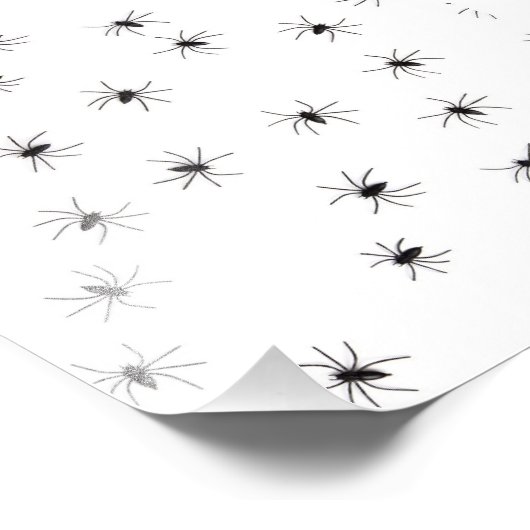クモ フォトプリント            (角)