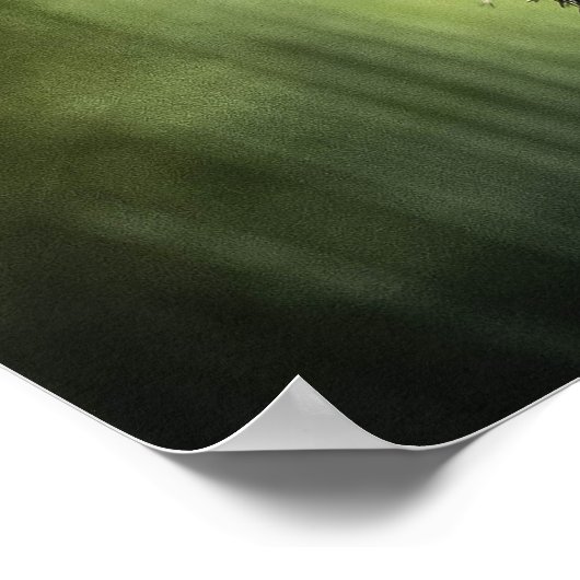 クモ ポスター (角)