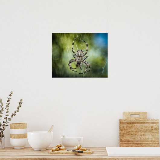 クモ ポスター (キッチン)