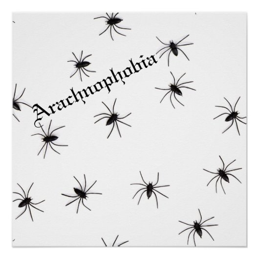 クモ ポスター (正面)