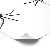 クモ ポスター (コーナー)