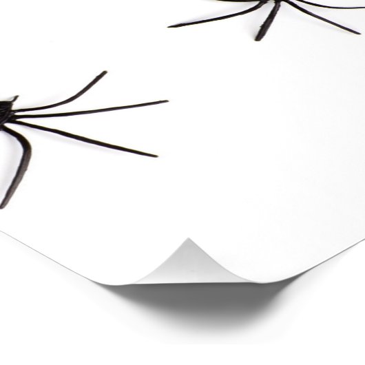 クモ ポスター (コーナー)